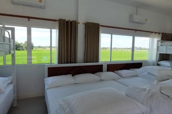 439741167_905801504677031_5289710929152853899_n_0